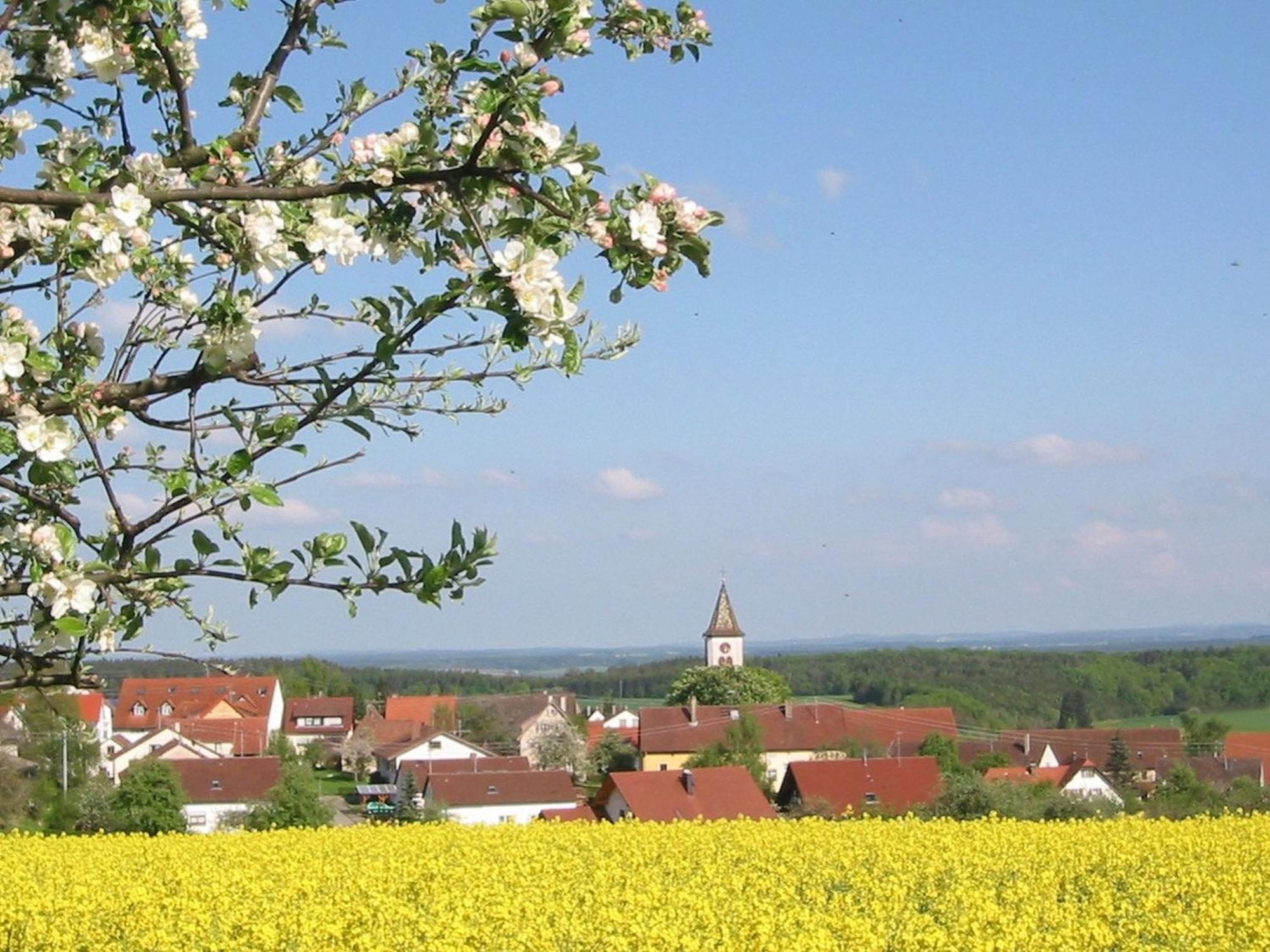 kleine Auszeit - der Ort zum Übernachten Thalheim  Exterior foto